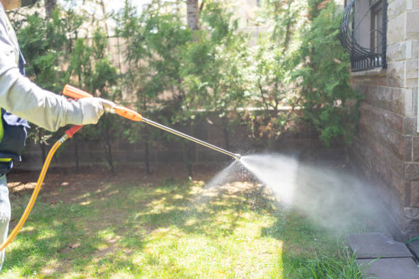 Best Lawn Pest Control  in Louisiana, MO